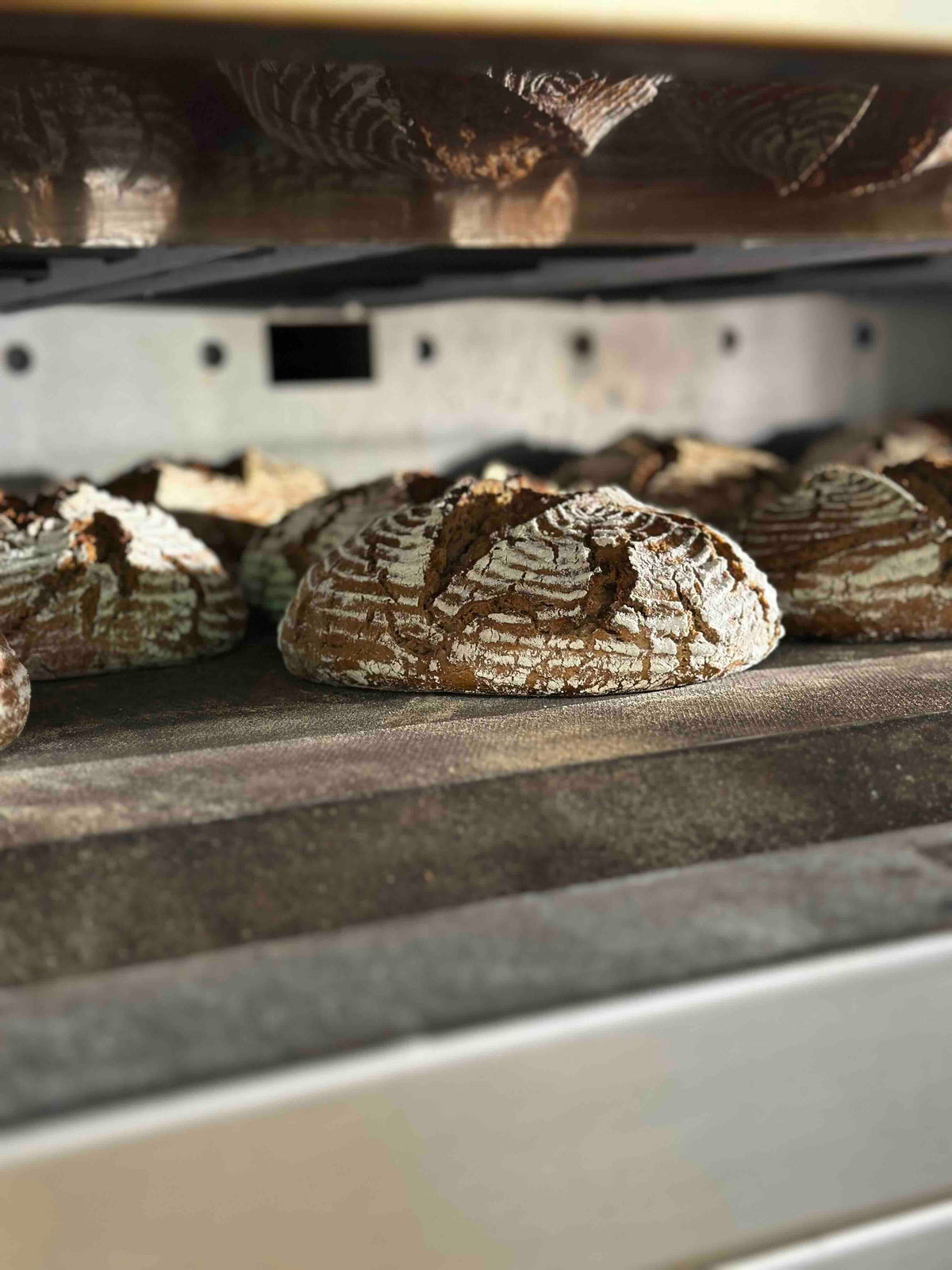Bio Brot & Backwaren
