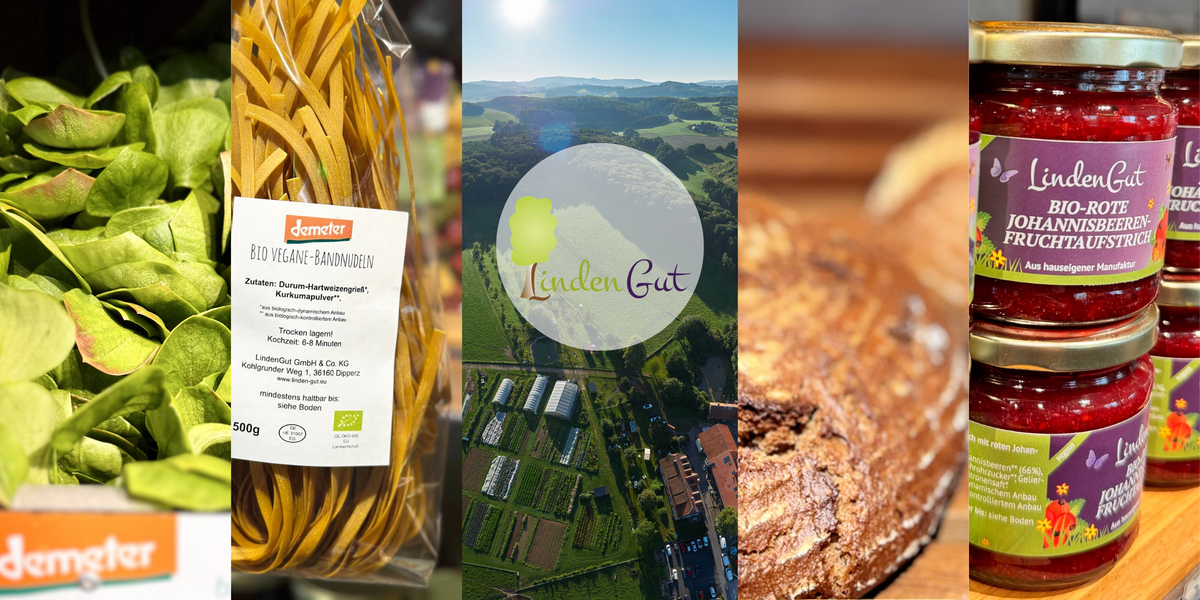 Bio Fertiggerichte aus eigener Küche im Glas kaufen – LindenGut Bio Onlineshop